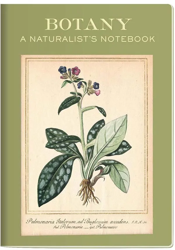 Botany | NOTEBOOK