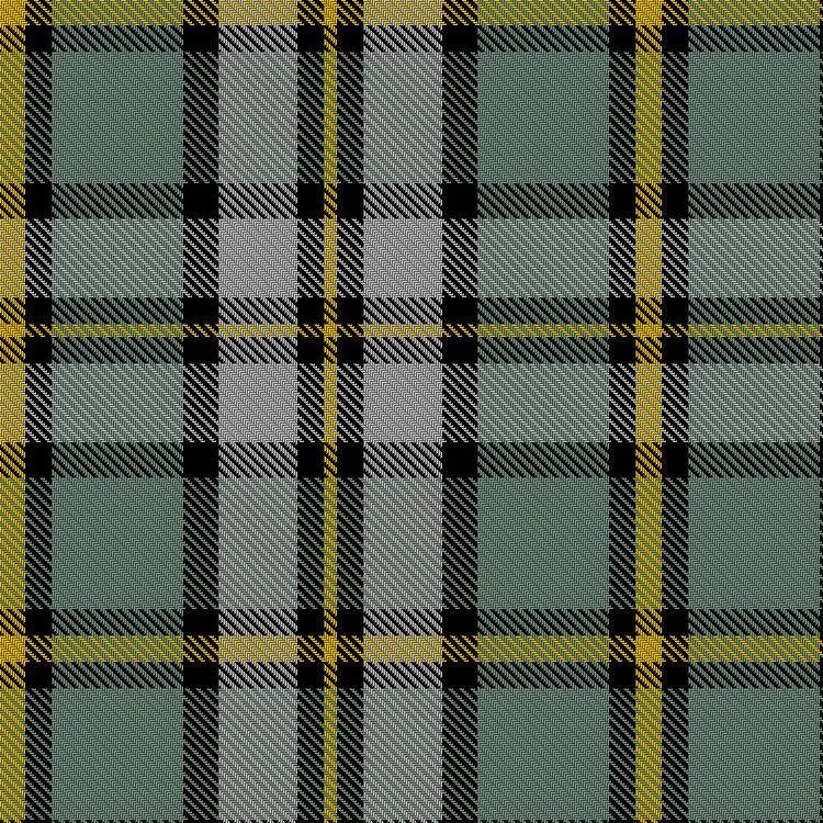 Cape Breton Light Weight Tartan Scarf