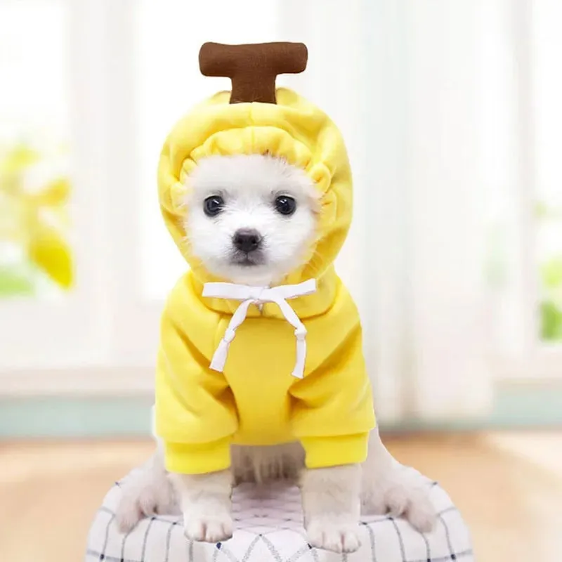 Cute Plush Hooded Dog Winter Coat – Warm Clothes for Bulldogs & Small Dogs