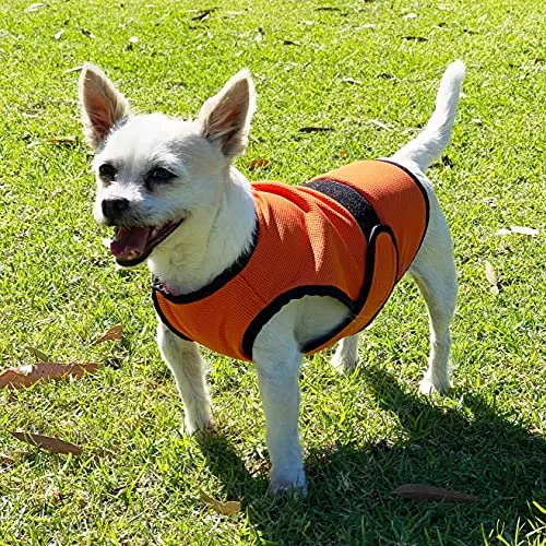 DOGZSTUFF Dog Cooling Vest Triple-Layer Microfiber Cooling Jacket. Dual Function Light Cold Weather Coat, Summer Shirt or Winter Vest. for All Small Medium or Large Dogs (XS, Light Blue)