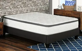 Fuzion Euro Top 12" Pocket Coil Mattress