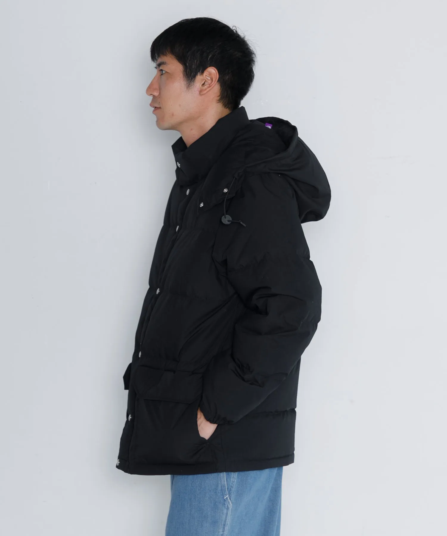 【MEN】THE NORTH FACE PURPLE LABEL 65/35 Sierra Parka