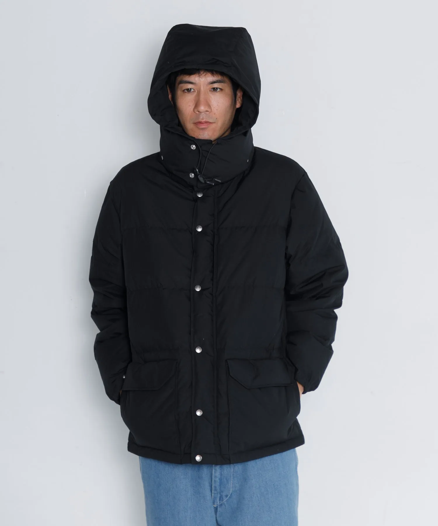 【MEN】THE NORTH FACE PURPLE LABEL 65/35 Sierra Parka