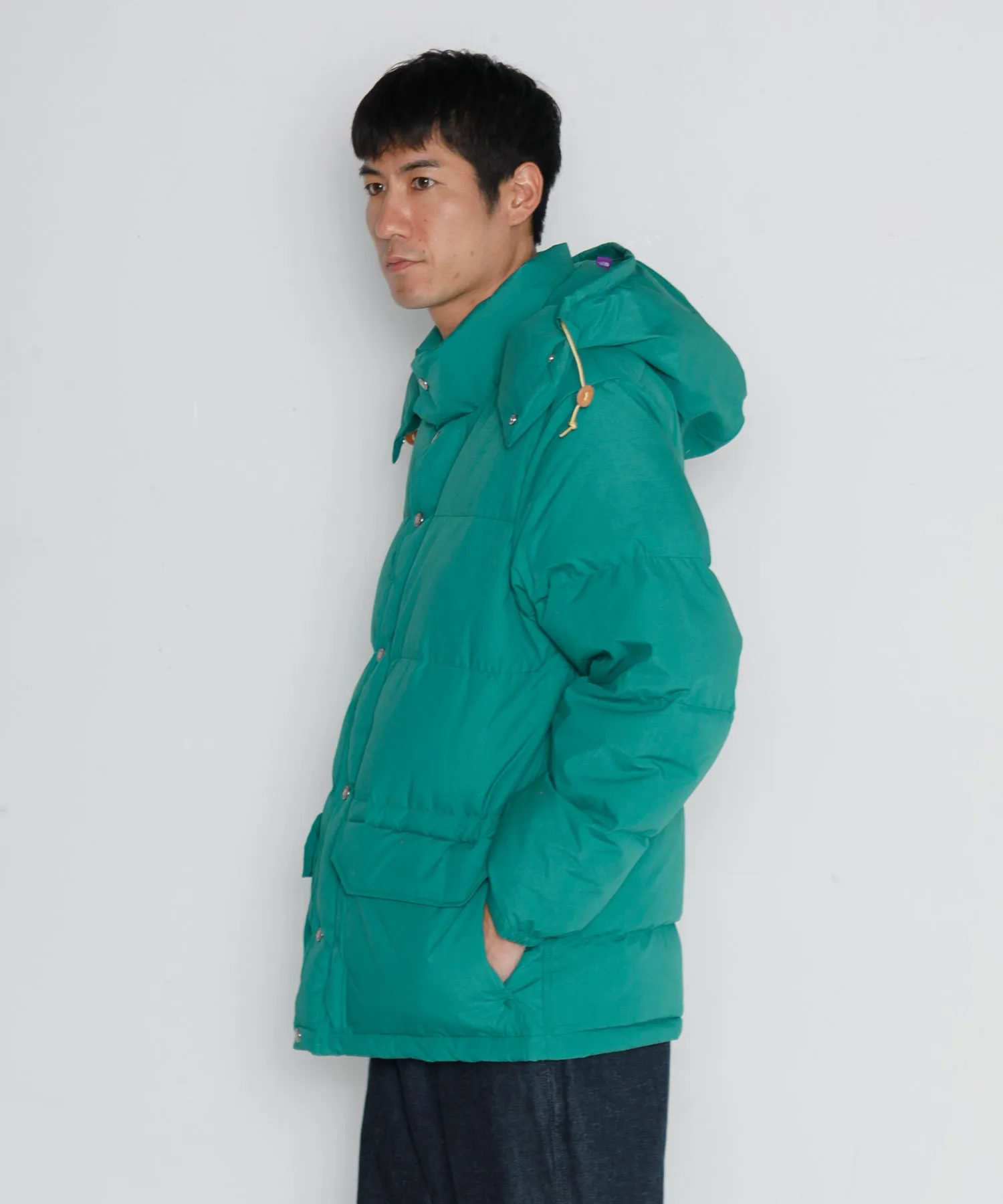 【MEN】THE NORTH FACE PURPLE LABEL 65/35 Sierra Parka