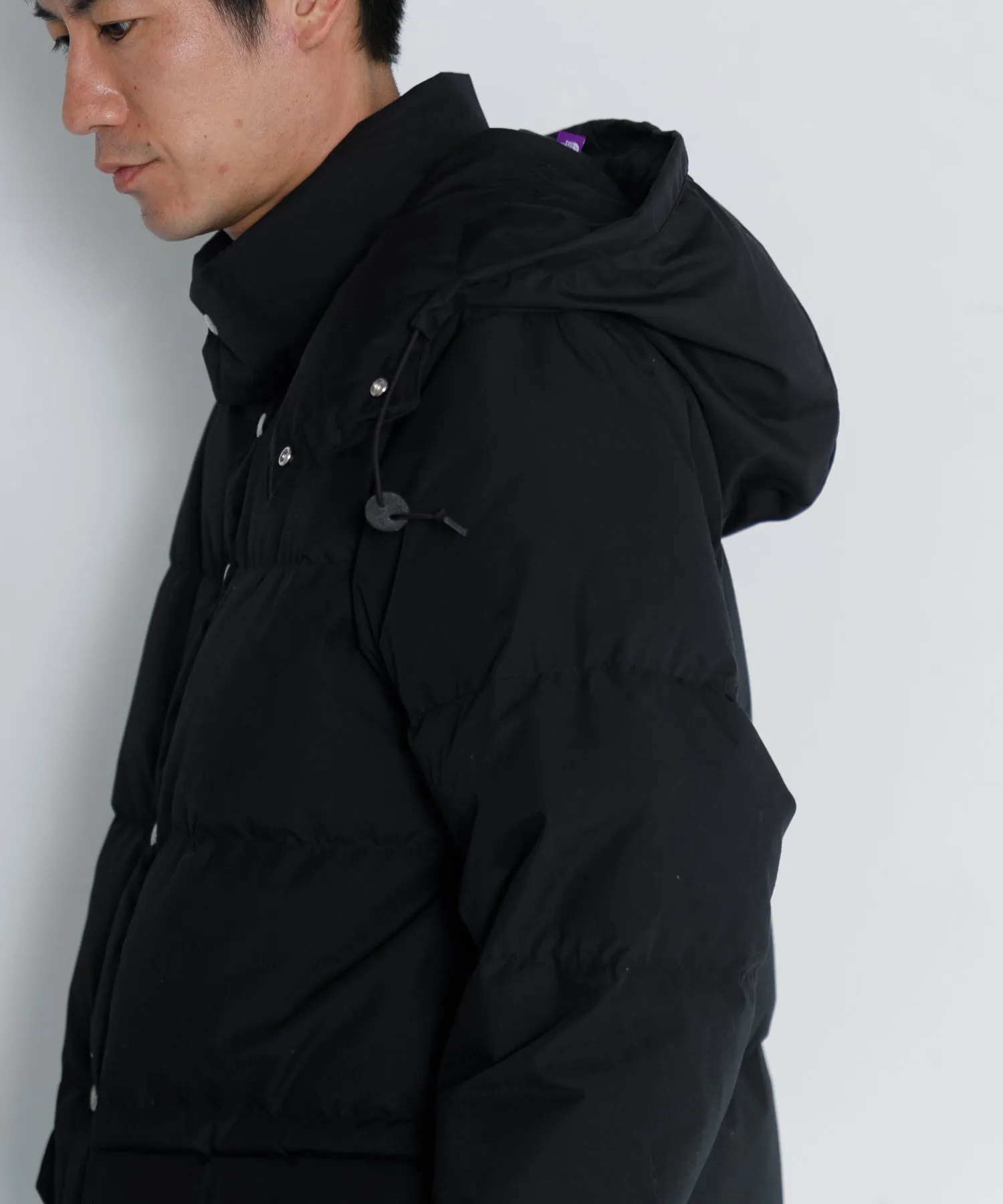 【MEN】THE NORTH FACE PURPLE LABEL 65/35 Sierra Parka