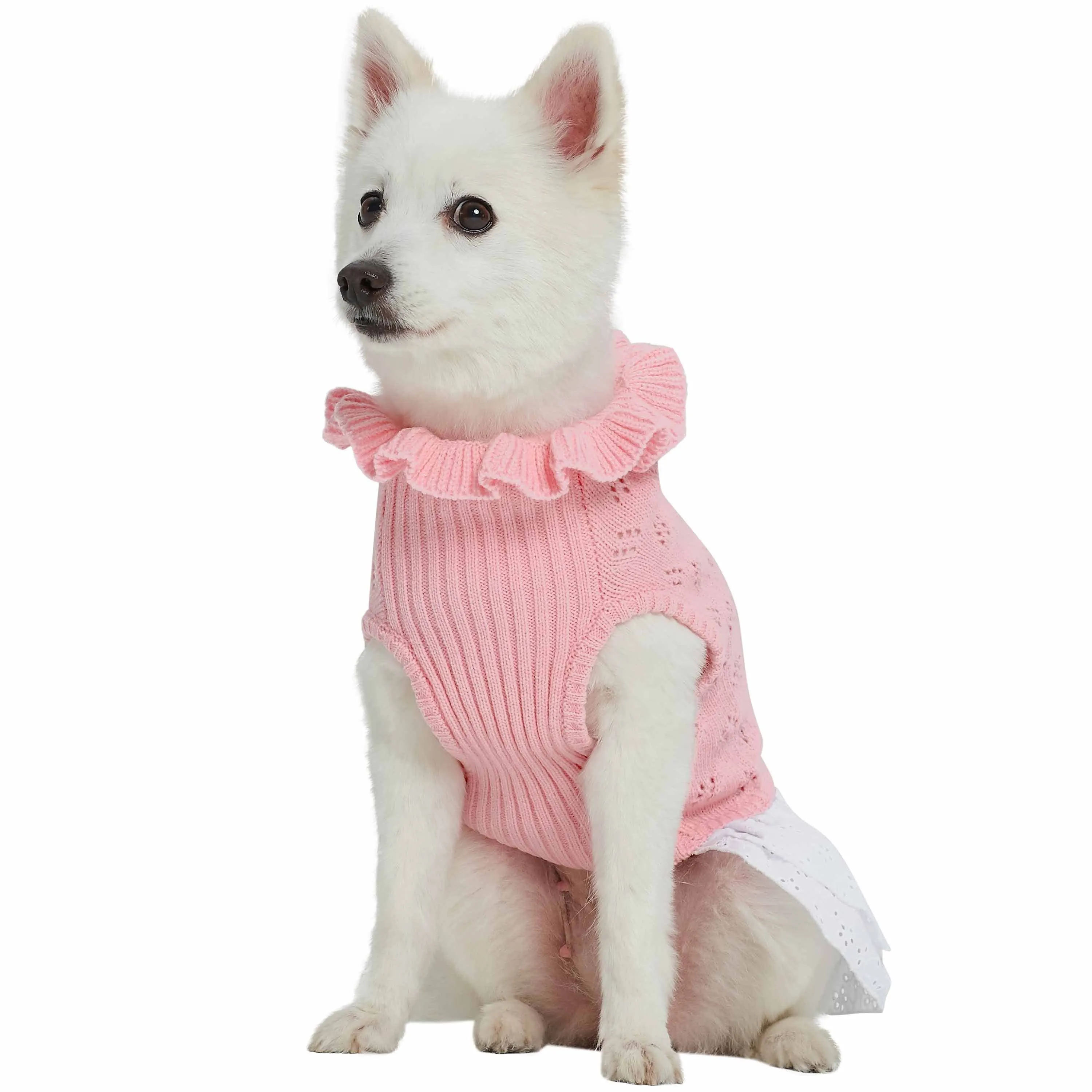 My Cutie Princess Ruffle Collar Dog Sweater Dress