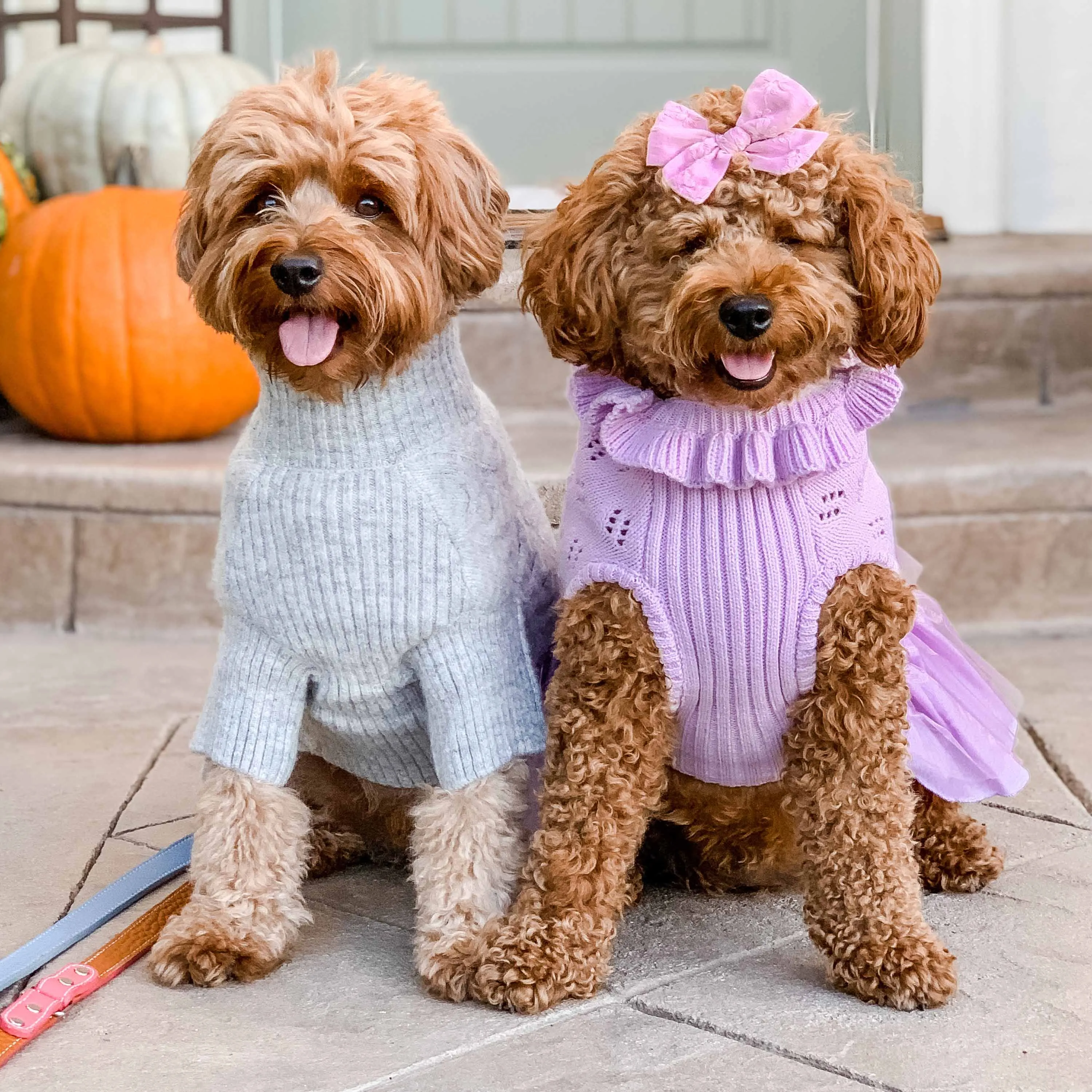 My Cutie Princess Ruffle Collar Dog Sweater Dress