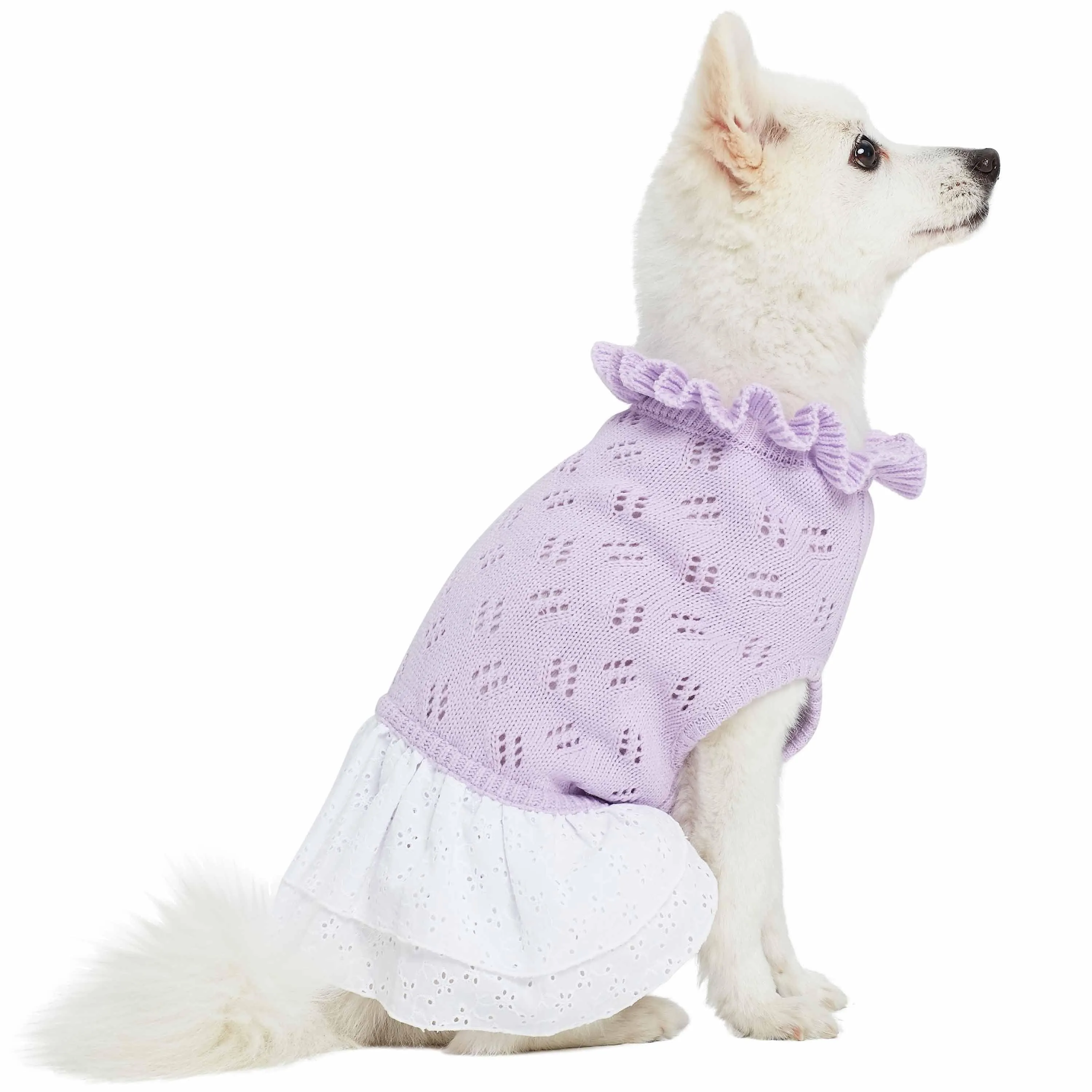 My Cutie Princess Ruffle Collar Dog Sweater Dress